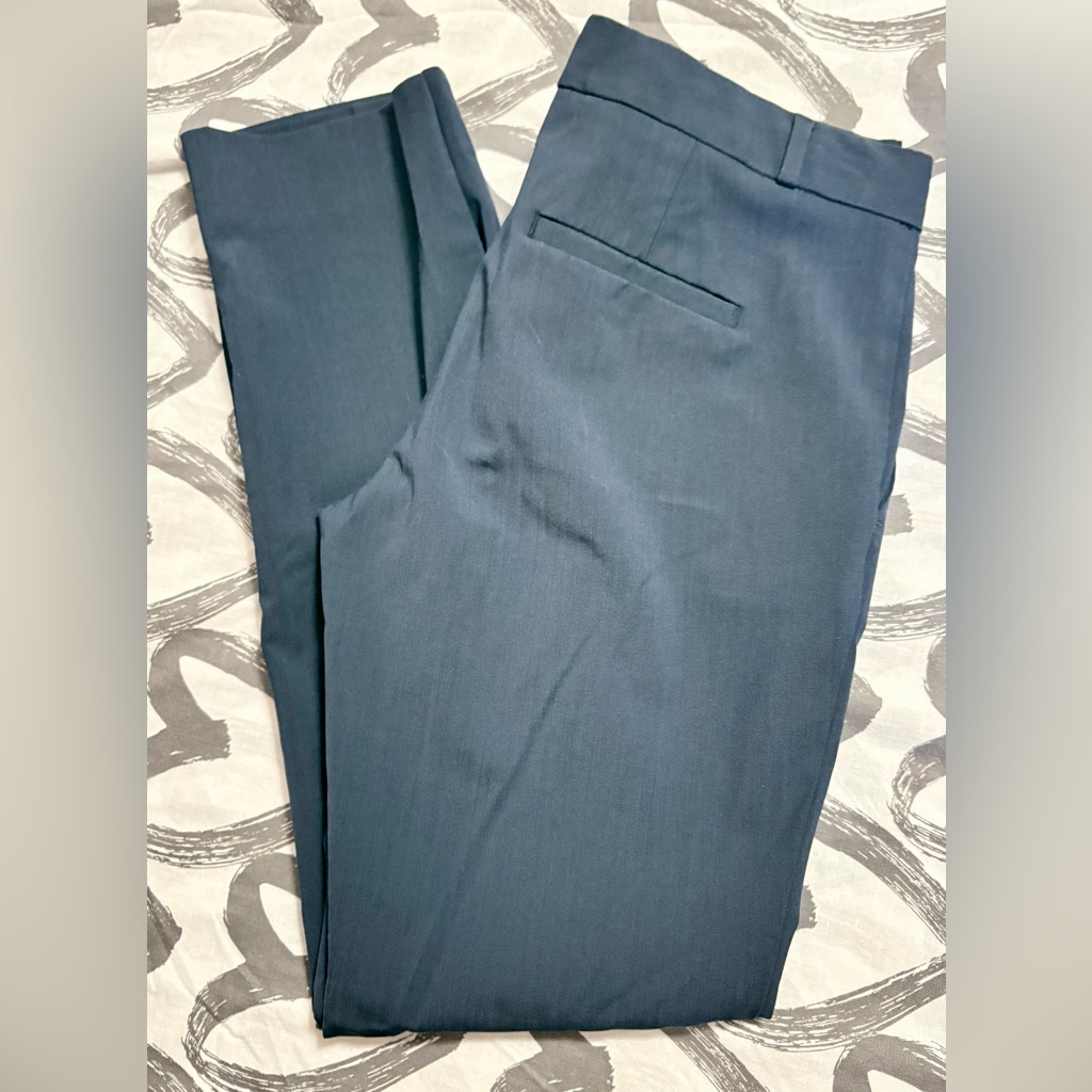 Banana Republic Washable Italian Wool Ryan Fit Pant (Blazer Also Available)
